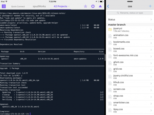 Prompt next to Working Copy, so you can double check that what's being fetched is what you pushed.